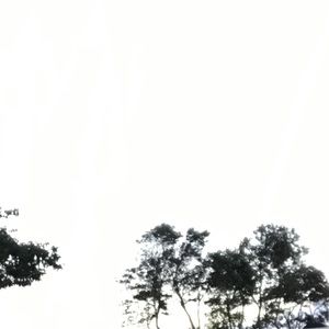 Meet your Posher, Krys